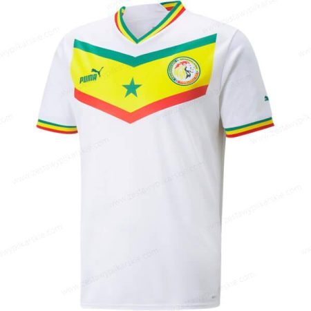 Senegal Koszulka Podstawowa Koszulka piłkarska 2022